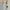 Minimalist Midi dress Wanita gray photo 3