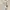 Minimalist Midi Dress Wanita Gray