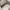 Maison Margiela
50-50 low-top sneakers
Size 38 photo 10