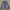 Vintage Y2K Short Pria navy blue photo 1