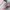 Asics Gel-NYC Silver Pink photo 2