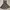 New Look Luxury Evening dress Wanita multicolor photo 5