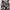 New Look Luxury Evening dress Wanita multicolor photo 4
