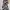 New Look Luxury Evening Dress Wanita Multicolor