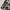 New Look Luxury Evening dress Wanita multicolor photo 6