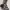 New Look Luxury Evening dress Wanita multicolor photo 3