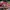NIKE AIR JORDAN COLAB OF WHITE TALI DOBEL photo 2