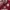 JERSEY AC MILAN by Multi photo 2
