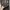 Hoodie GAP USA photo 4