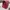 furla metropolis photo 3