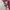 furla metropolis photo 5