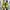 Nike sb dunk low green photo 6