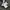 Nike Sportswear Minimalist Sweater Pria white black photo 5