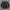 Nike Sportswear Minimalist Sweater Pria white black photo 7