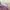 Oioi Casual T-shirt Pria purple photo 4