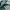 Adidas Gorpcore Indie Sneakers Wanita white green photo 2