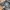 Columbia Gorpcore Windbreaker Pria gray photo 6