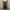 CELANA BAAGY BROWN  photo 2