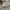 RVCA Streetwear Avant Garde Sweatshirt Pria white photo 7