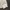 RVCA Streetwear Avant Garde Sweatshirt Pria white photo 4
