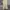 Polo Ralph Lauren Avant Garde Biker Casual pants Pria tan photo 1