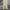 Polo Ralph Lauren Avant Garde Biker Casual Pants Pria Tan