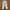 09WOMEN Minimalist Casual Casual trouser Wanita cream photo 2