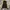 Undercover Avant Garde Vintage Puffer jacket Pria tan photo 4