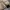 Undercover Avant Garde Vintage Puffer jacket Pria tan photo 3