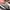 Sepatu Runnning Under Armour HOVR Phantom 3 SE ELEVATE WHITE photo 8