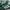 Adidas Gorpcore Indie Sneakers Wanita white green photo 2