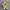 Converse Chuck Taylor All Star 70S Low Sunflower Yellow