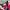 Luxury Marni italy Midi abstract painted dress photo 5