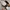Salvatore Ferragamo Casual Sneakers Pria black photo 8