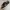 Salvatore Ferragamo Casual Sneakers Pria black photo 2