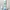 LIMITED Collection Starbucks Tumbler BEEN THERE SERIES ( HOK photo 1
