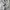 Stradivarius Streetwear Minimalist Denim jacket Wanita white tan khaki cream photo 3