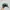 Vintage Streetwear Hat Pria green photo 2