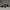 Asics Sportswear Sneakers Pria white black photo 3