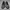 Asics Sportswear Sneakers Pria white black photo 5