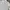 Vivienne Westwood Casual Shirt Wanita white photo 2