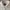 Vivienne Westwood Casual Shirt Wanita white photo 3
