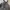 Japanese brand Streetwear Parka Pria gray photo 2