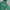 Russell Athletic Vintage Hoody Pria green photo 5