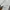 TOFFE baggy jeans white photo 7