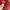 Michel Angelo Leather Handbag red merah photo 6