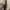 coach zoe vintage shoulderbag brown photo 3
