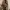 coach zoe vintage shoulderbag brown photo 6
