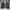 Asics Sportswear Sneakers Pria black photo 6