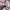 RtoY Korean Script Soft Pink Pullover Hoodies photo 5